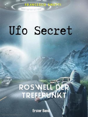 cover image of Ufo Secret